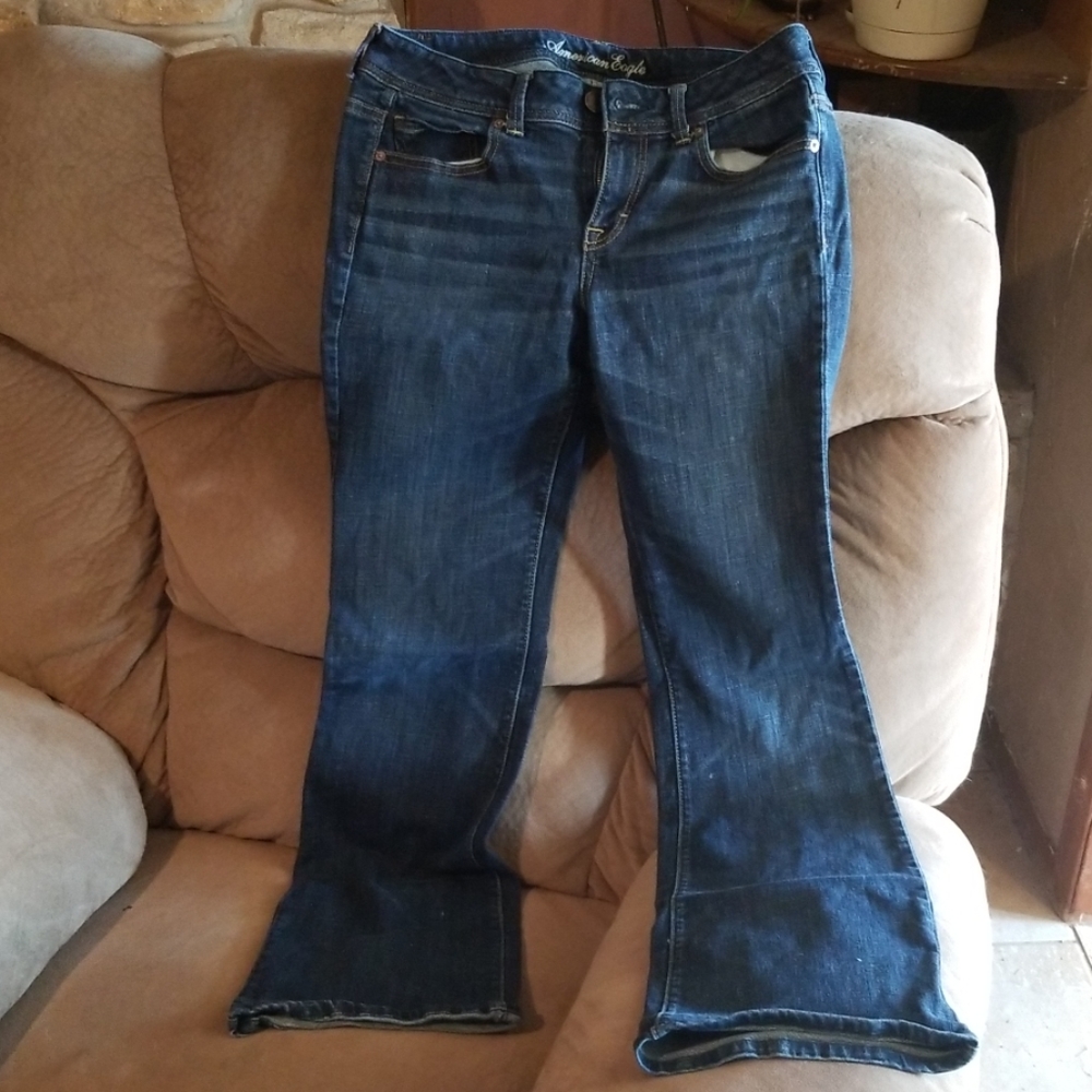 American eagle 10 long